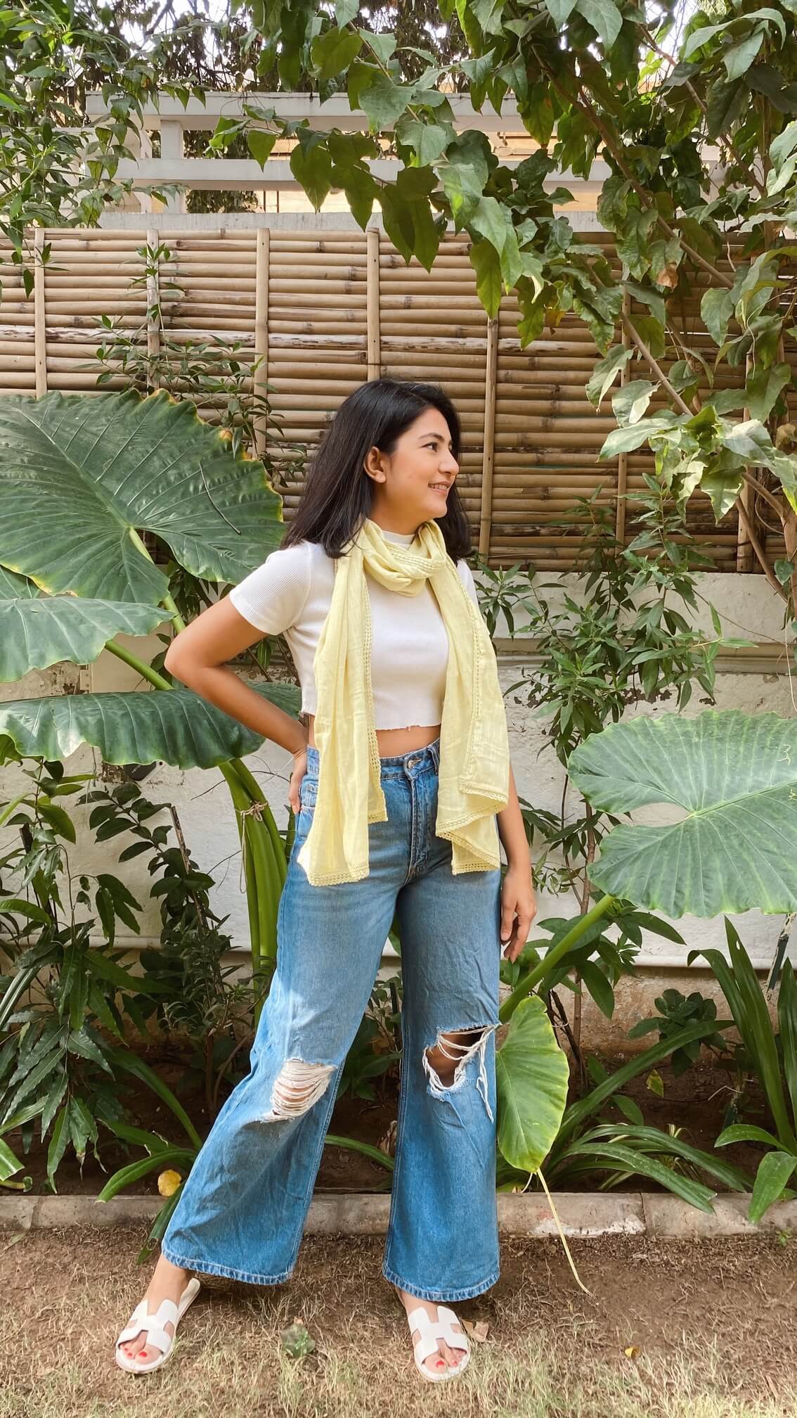 Mellow Yellow Scarf