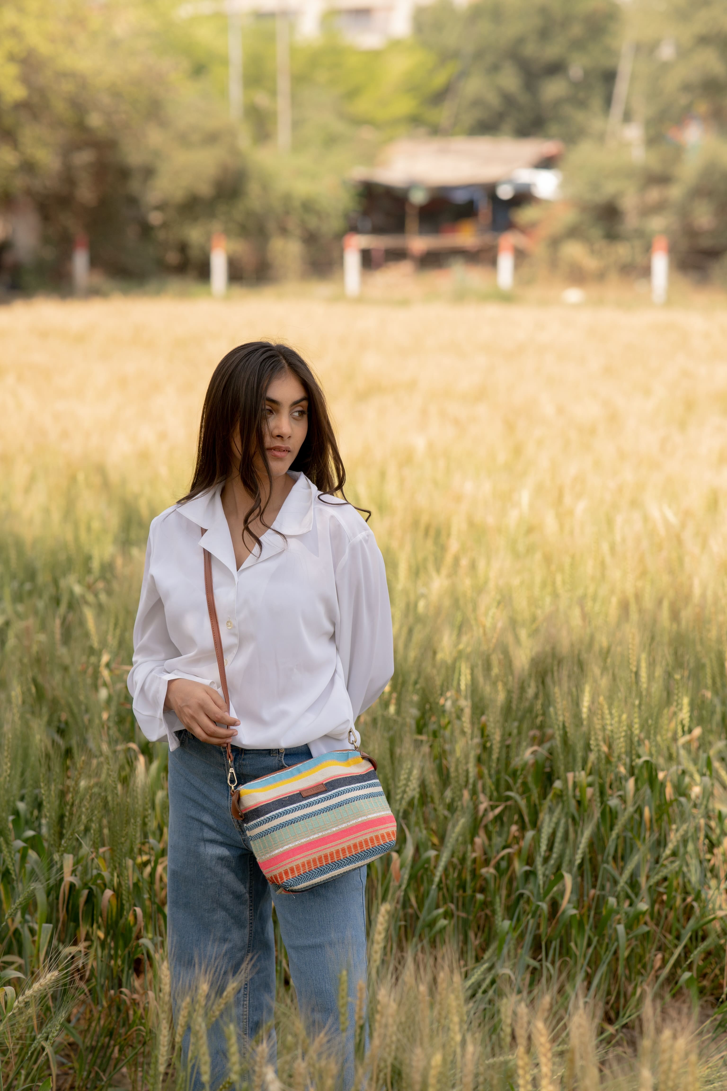 Multicolour Stripes Pouch / Sling Bag