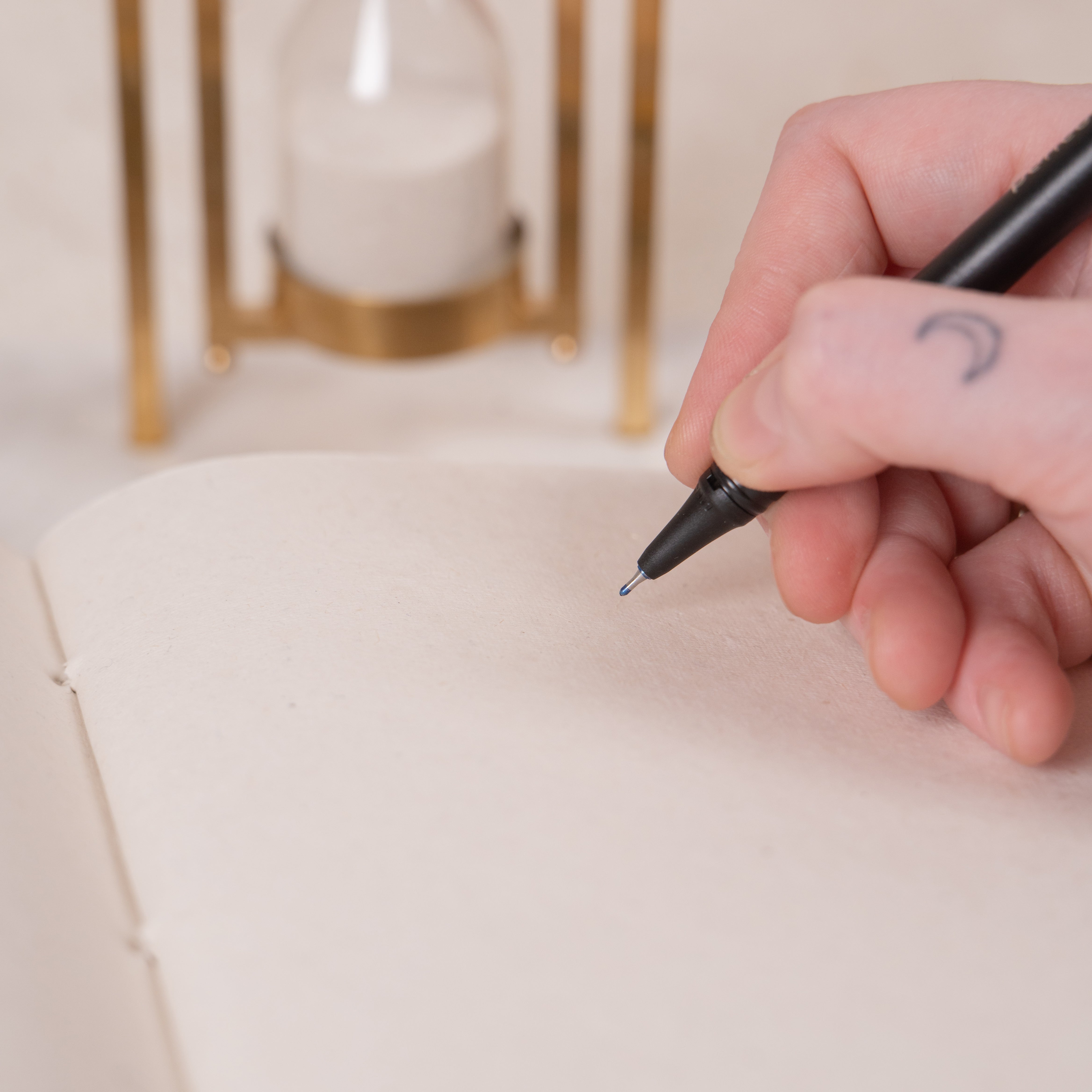 Parrot Button Trail Diary